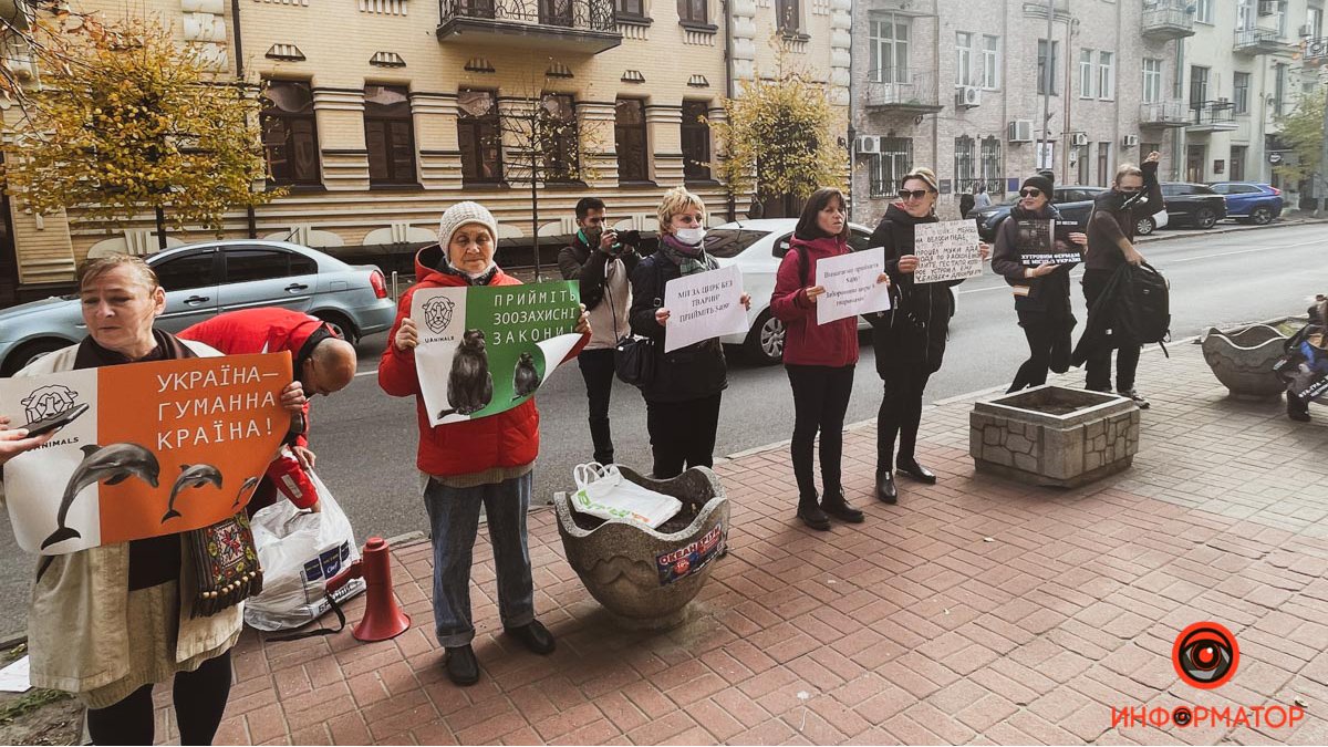 В Киеве зоозащитники вышли под ВР, требуя прекратить издевательство над животными в цирках