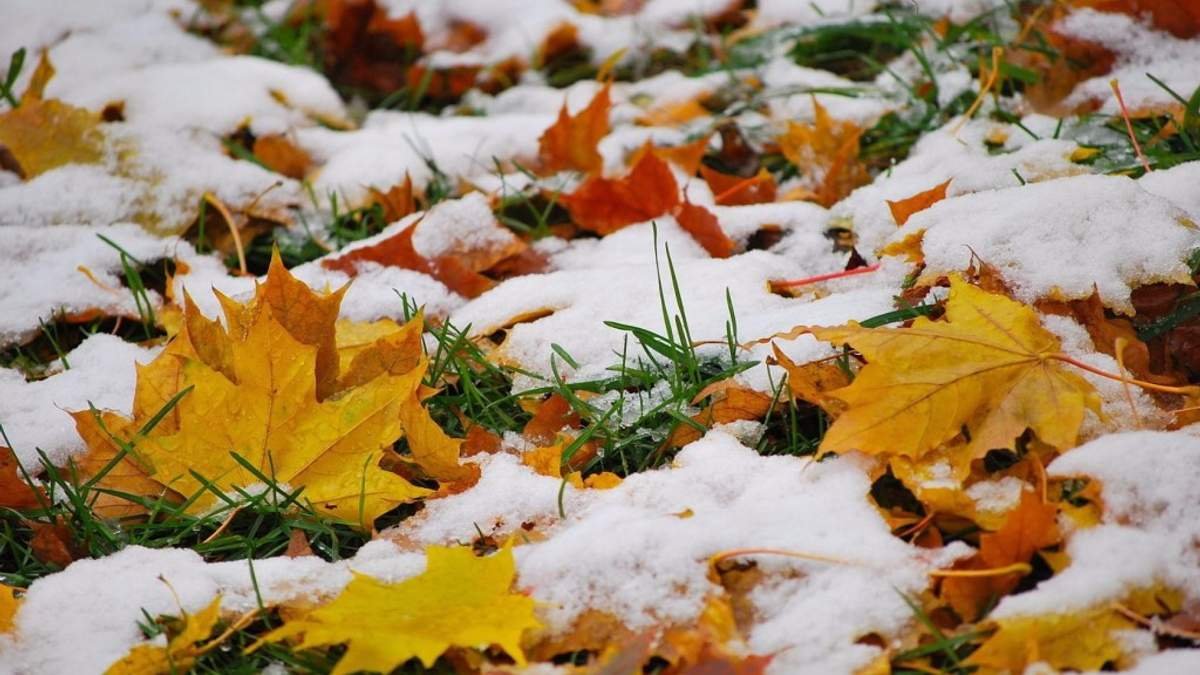 Якою буде осінь і зима в Україні: прогноз погоди