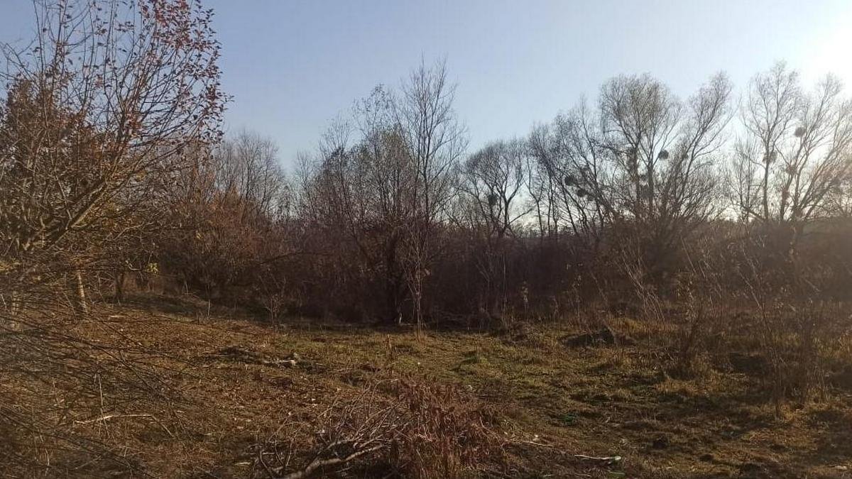 В Винницкой области охотник ранил подростка в лесу