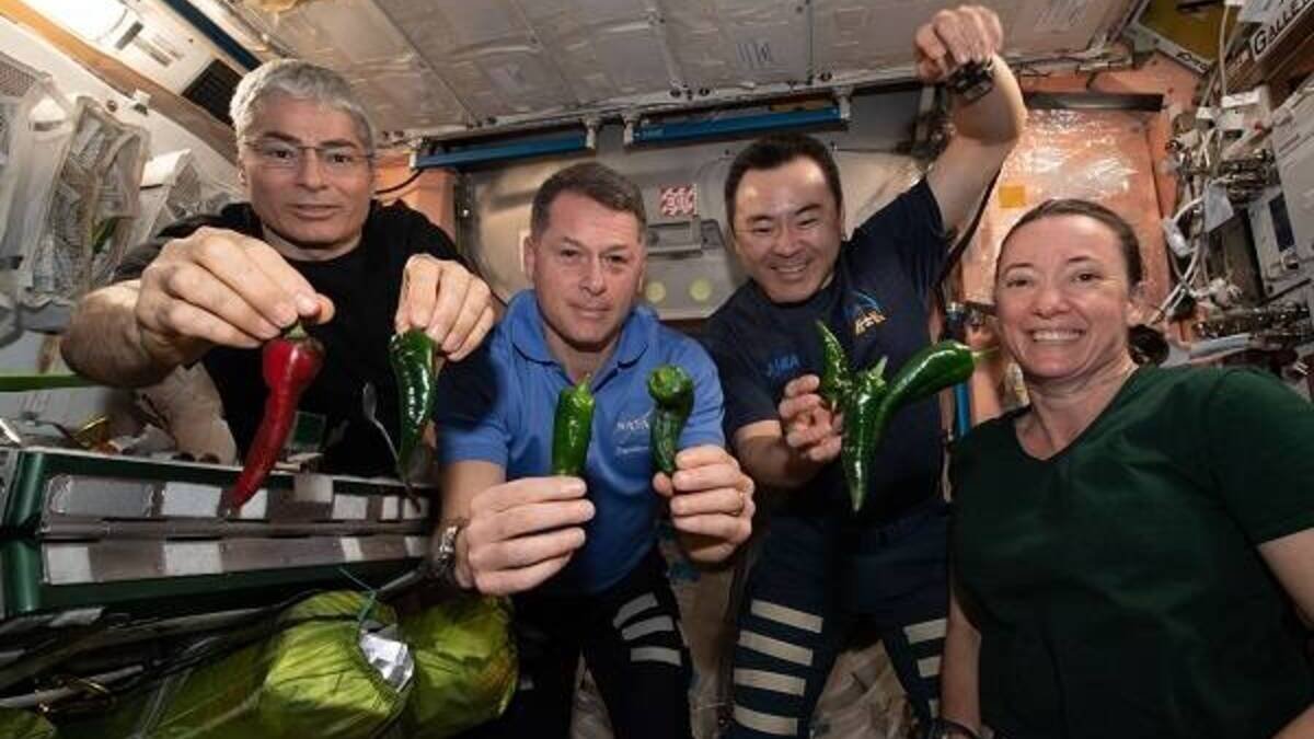 У NASA показали, як живуть космонавти на МКС