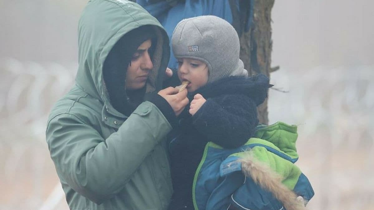 В лесу на польско-белорусской границе умер годовалый ребёнок мигрантов из Сирии