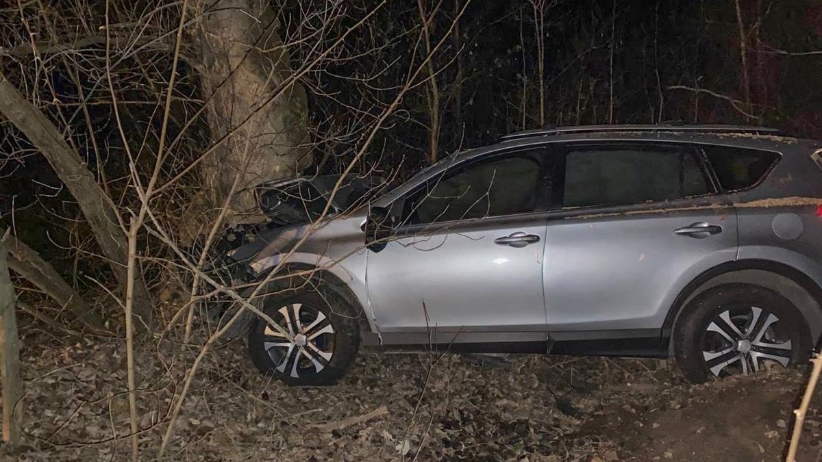 У Полтавській області 17-річна дівчина за кермом Toyota врізалася в дерево: вона і троє її друзів у лікарні