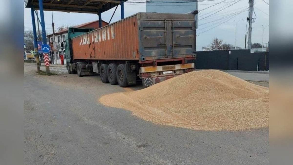 На трассе Одесса – Кучурган водитель фуры хотел обойти проверку и высыпал зерно на асфальт: что ему грозит
