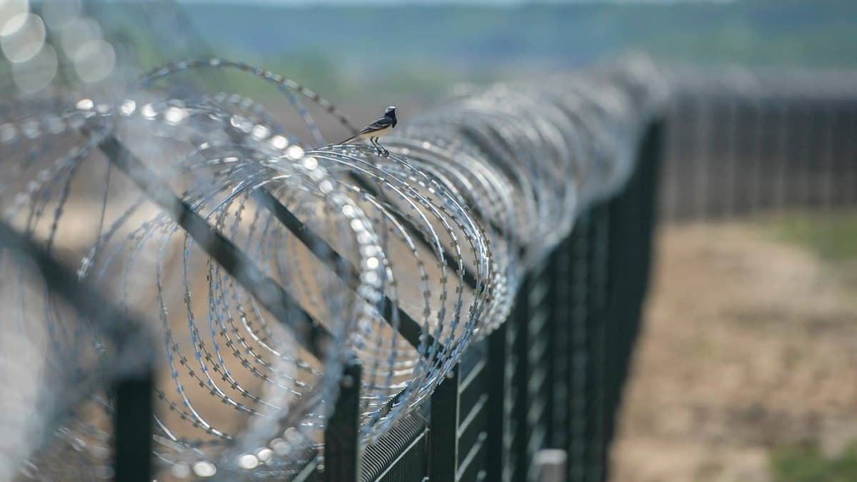 Латвия установила почти 40-километровый забор на границе с Беларусью