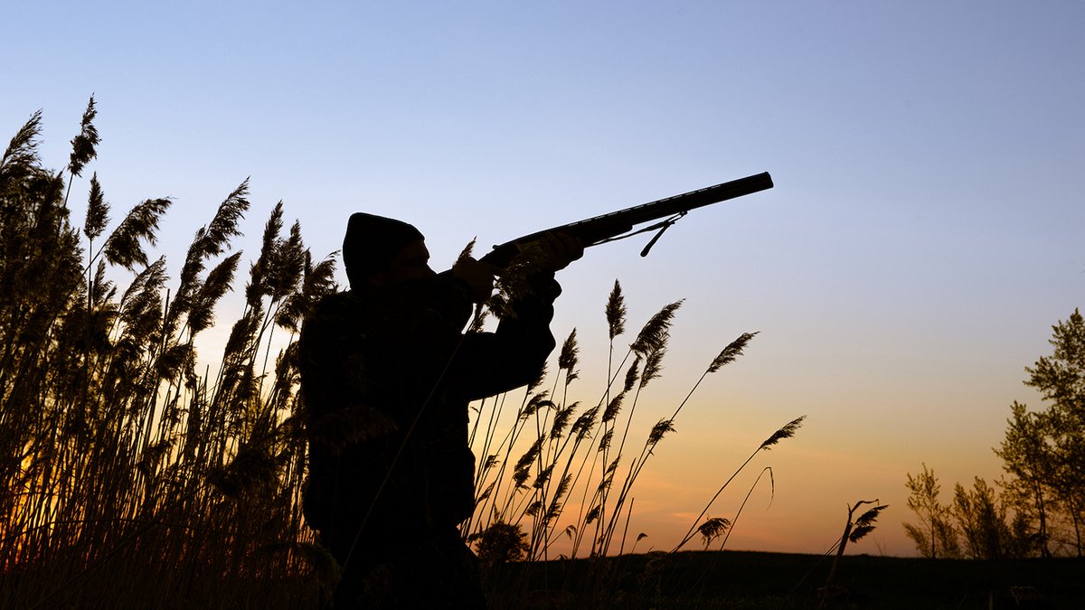 В Черниговской области охотник случайно застрелил полицейского