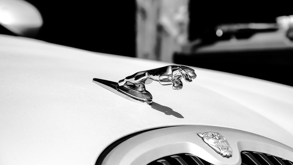 Jaguar прекратит выпускать новые авто до 2025 года: у компании проблемы с продажами