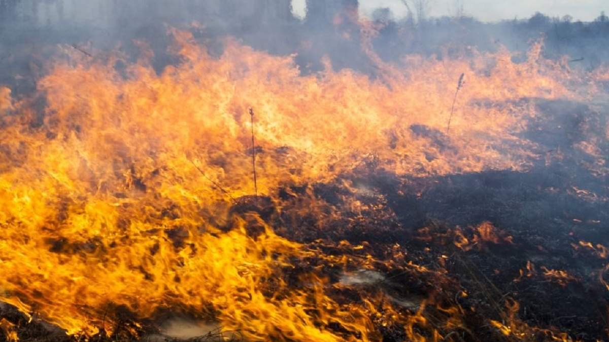 Кабмин выплатит 10 млн гривен жителям Донбасса, чьи дома пострадали от пожаров