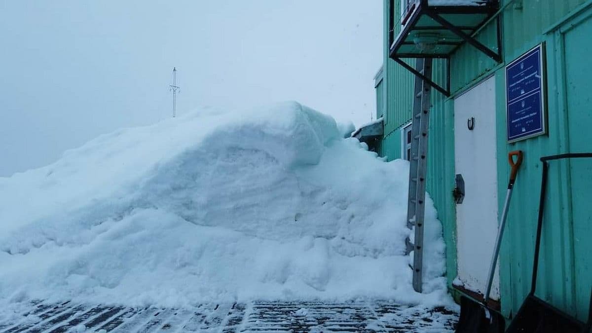 Возле станции «Академик Вернадский» в Антарктиде выпало рекордное количество снега за 20 лет