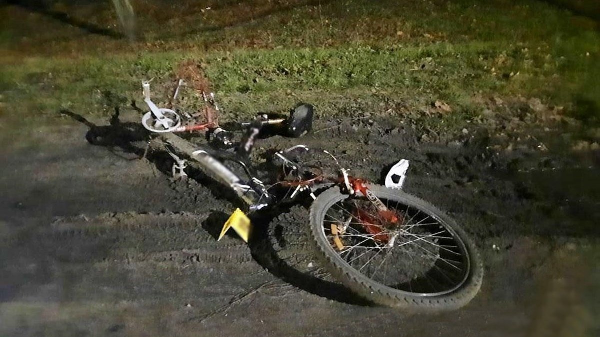 В Черниговской области пьяный депутат горсовета насмерть сбил велосипедиста: его взяли под арест