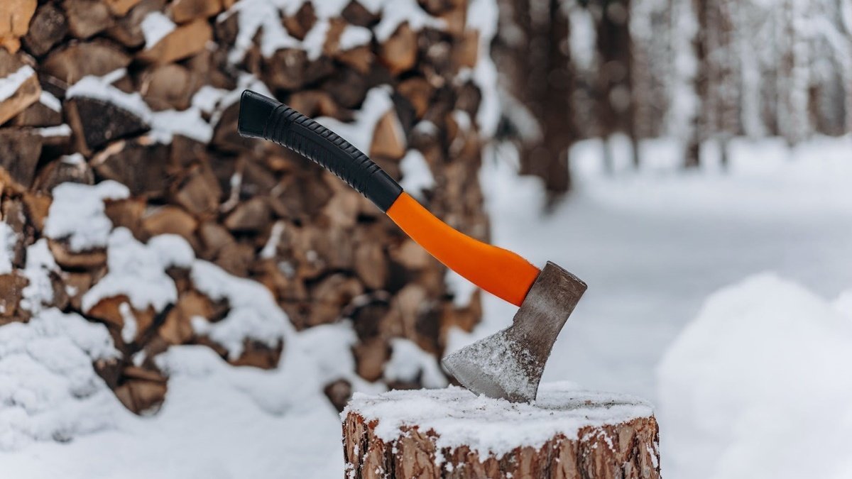 В Україні запровадили нові штрафи за вирубку дерев та браконьєрство