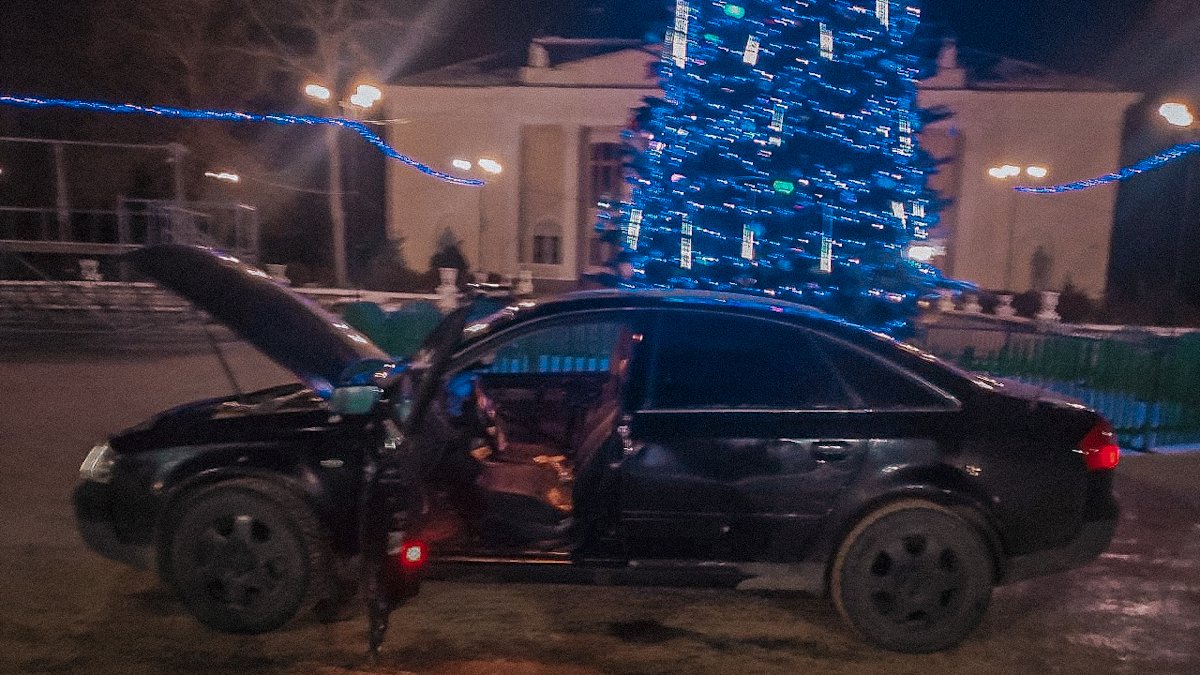В Новой Каховке мужчины пытались сжечь машину и ёлку на Центральной площади