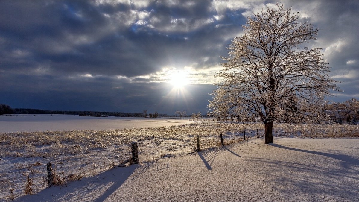 Снег в большинстве регионов и до - 16 мороза: погода в Украине на 24 января