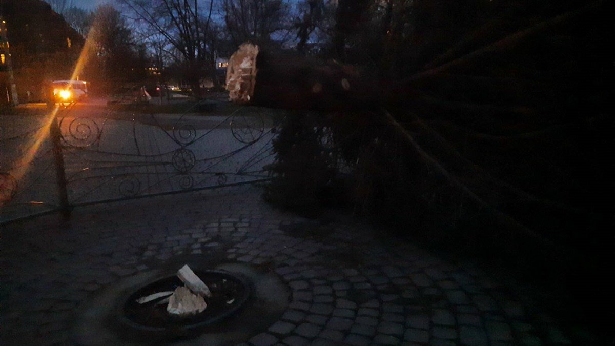 В Калуше из-за сильного ветра упала новогодняя ёлка