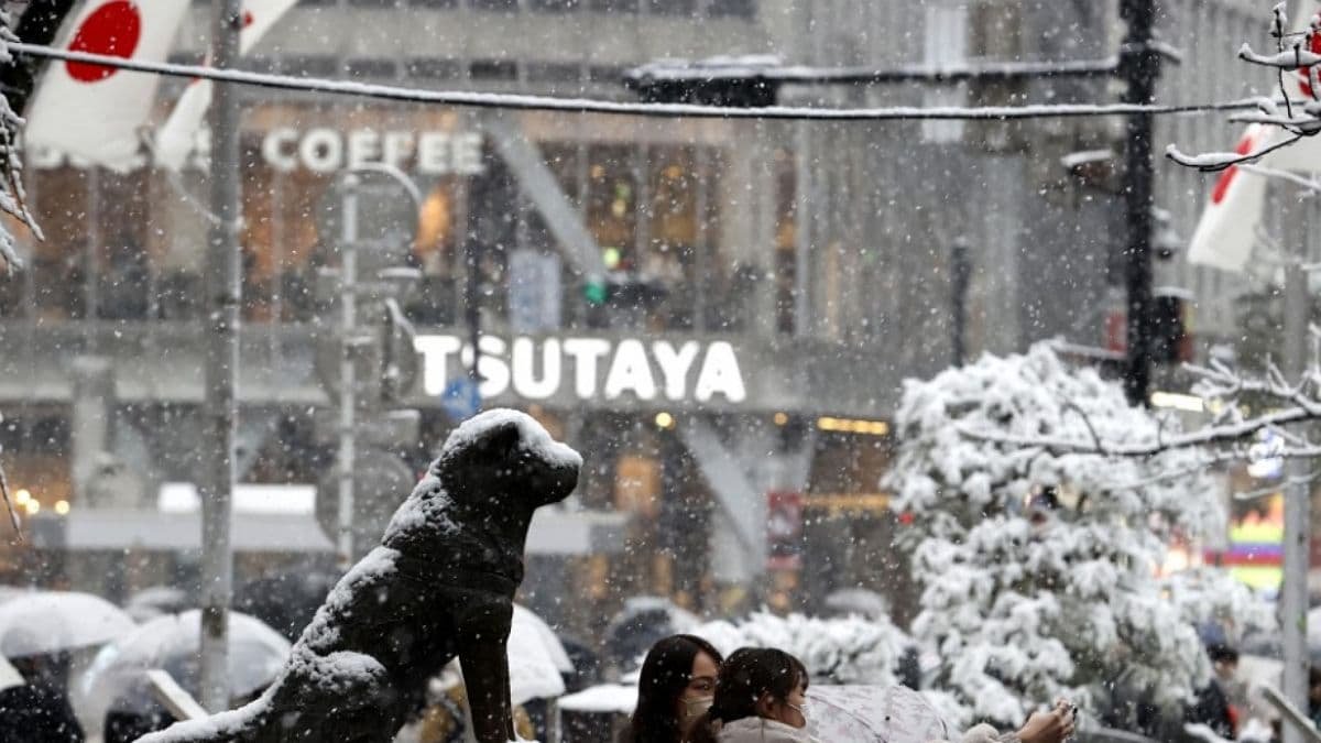 В Токио впервые за 4 года выпал сильный снег