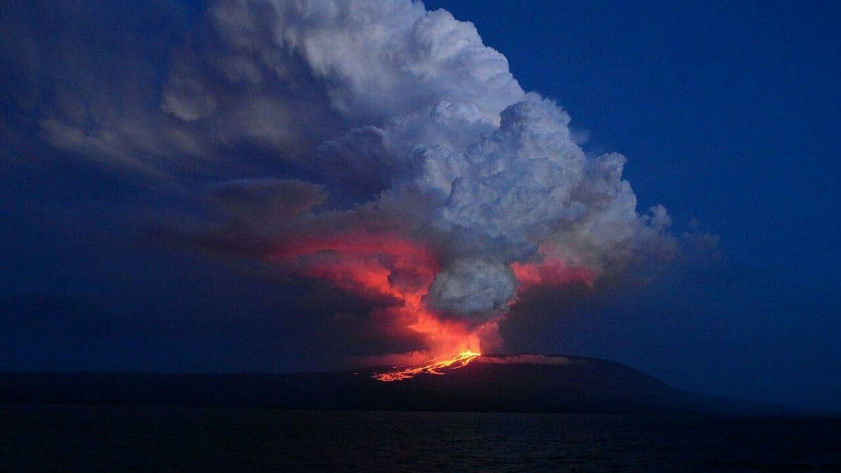 На Галапагосском острове извергается вулкан: под угрозой исчезновения редкие ящерицы