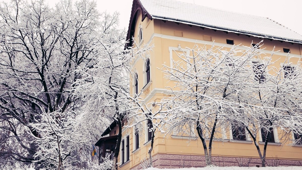 Львовский музей «Дом Франко» получил специальную награду в Сербии