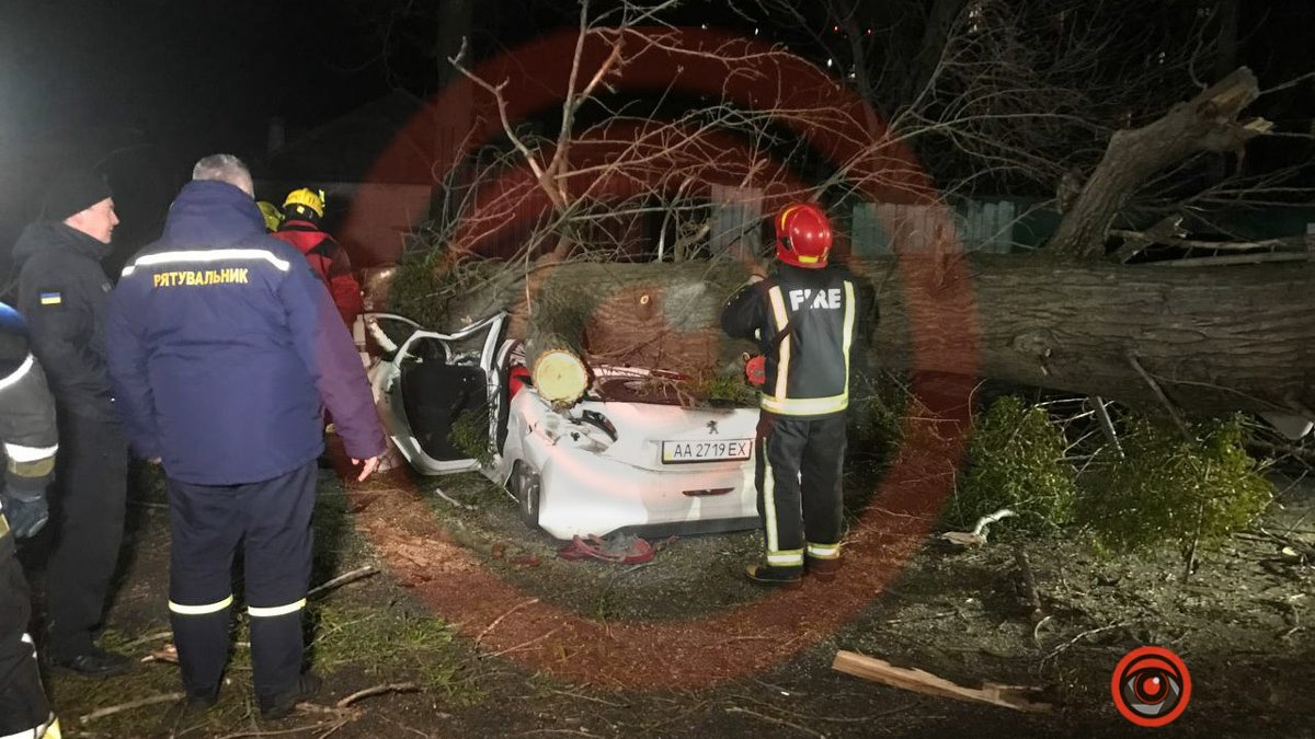 У Києві через вітер дерево впало на Peugeot і розчавило чоловіка: ще одна людина в лікарні