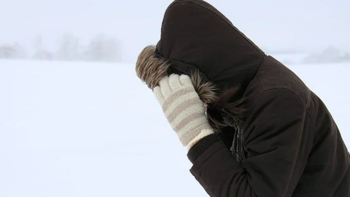 В Украине ухудшится погода: синоптики предупреждают о снегопадах и ветре
