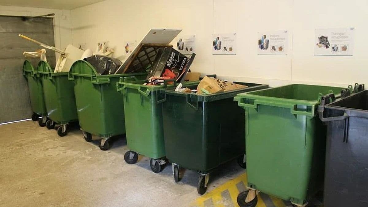 Черновцы заработали почти миллион гривен на сортировке мусора