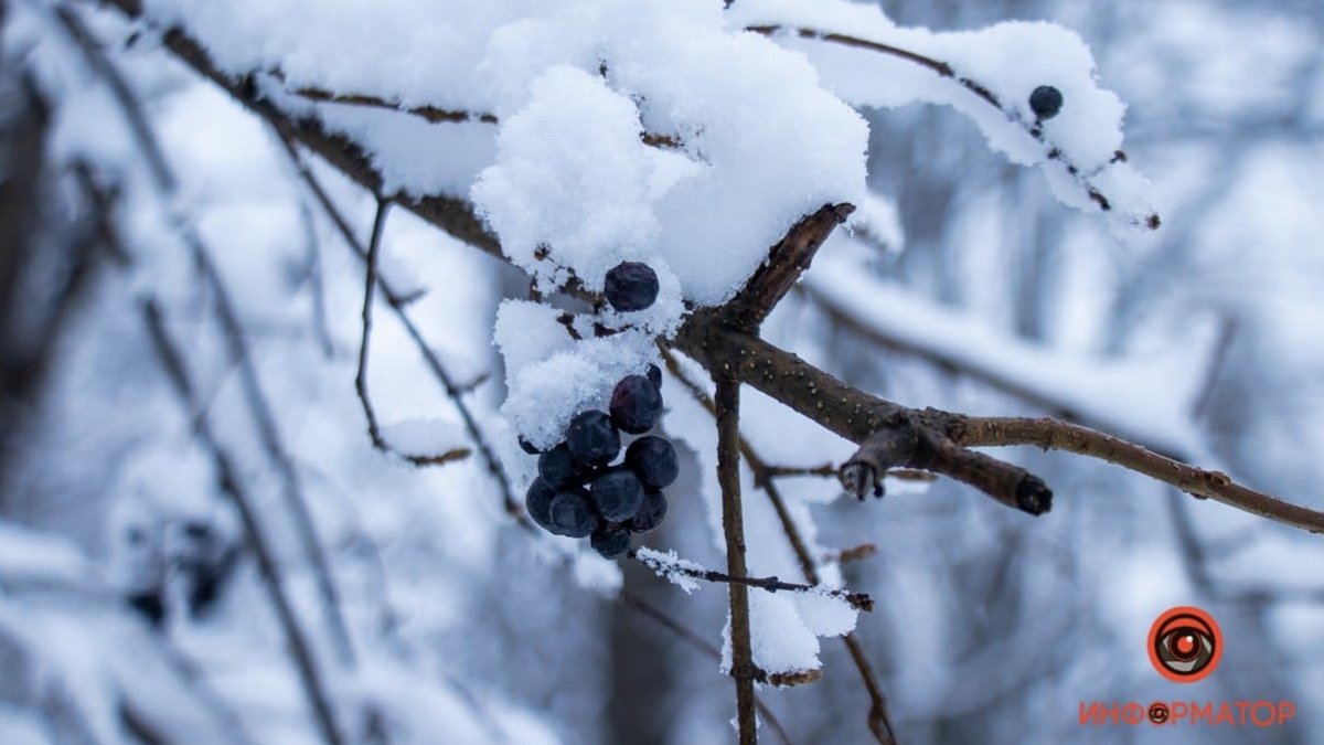 Мороз та сніг: погода в Україні на 22 січня