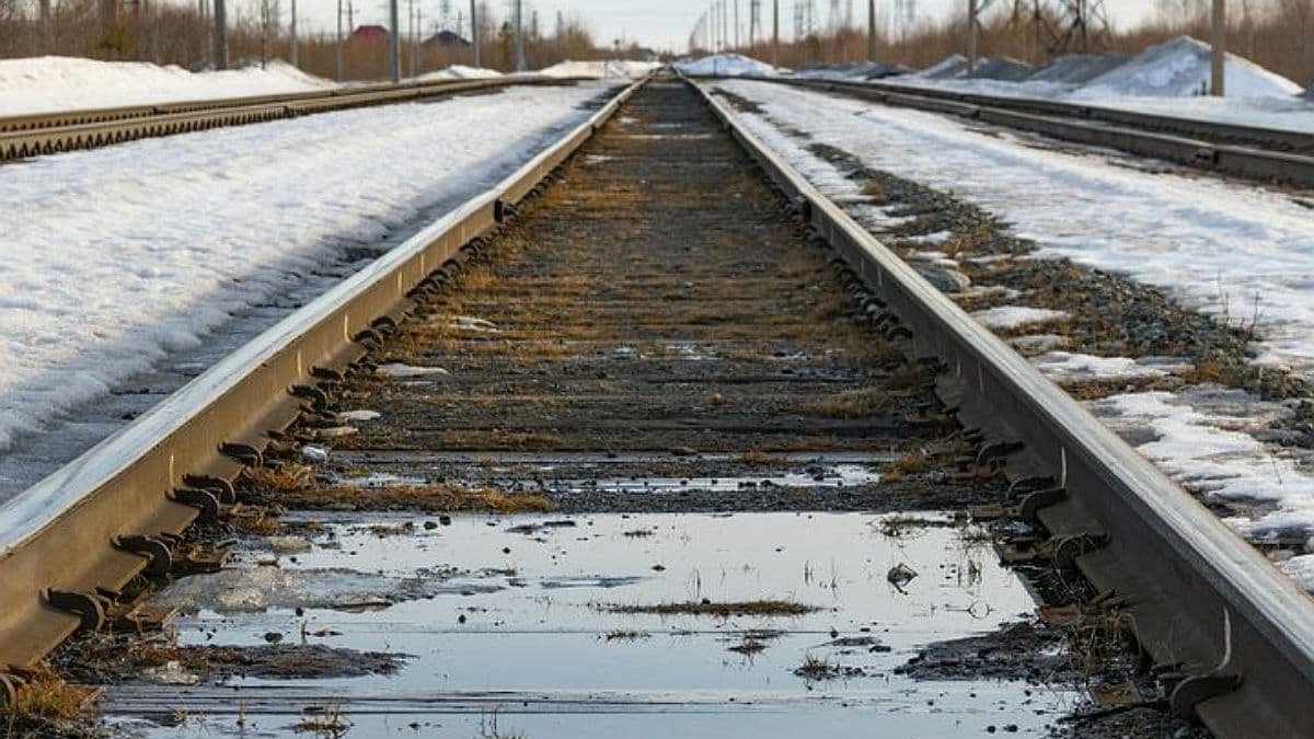 Переходила пути: под Одессой товарный поезд сбил пожилую женщину