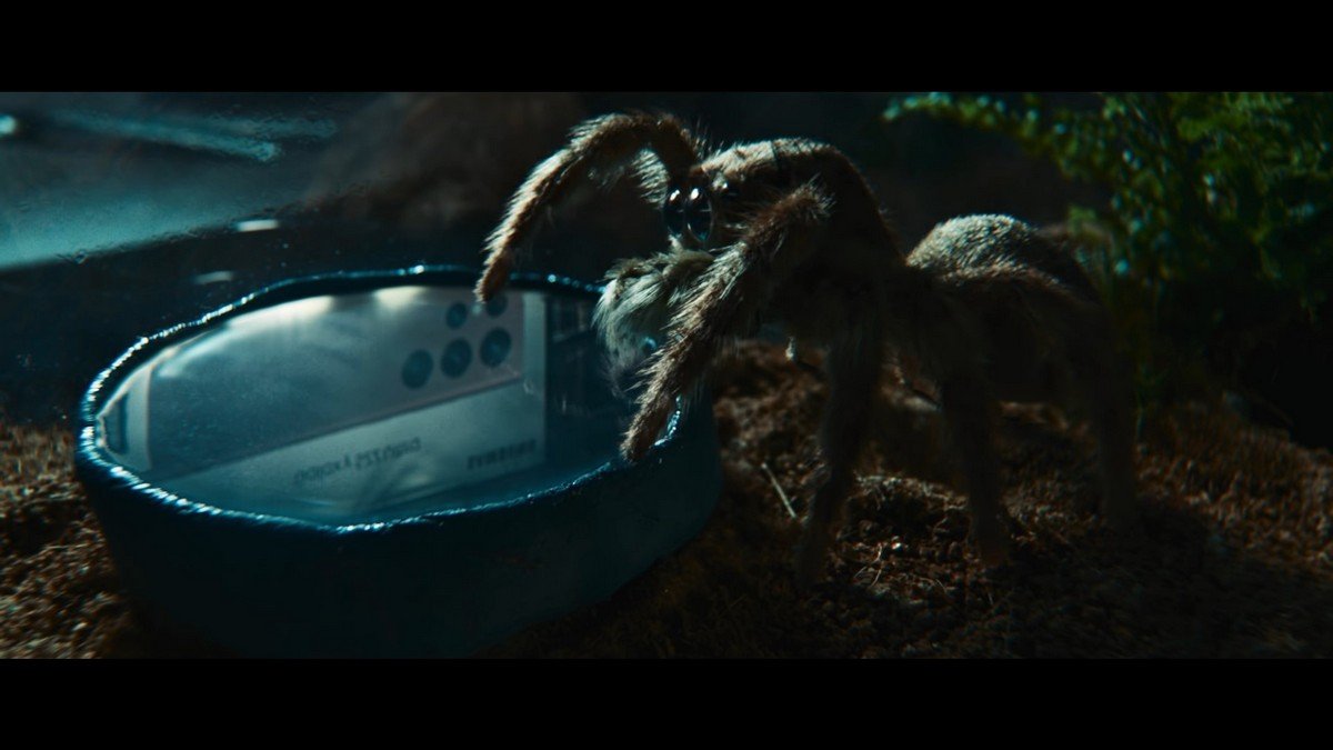 Після цього ви полюбите павуків: Samsung зняв неймовірно милу рекламу