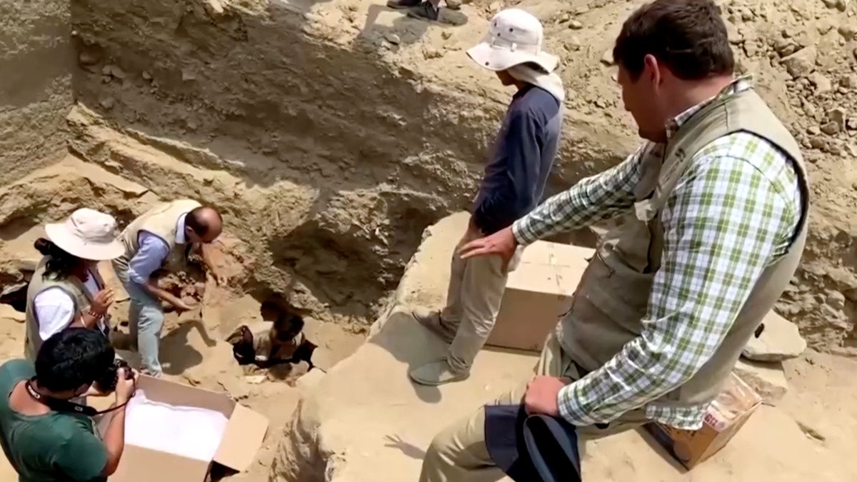 В Перу нашли мумии 6 детей и 7 взрослых, которых принесли в жертву