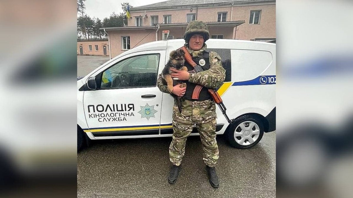 В Киевской области щенок по прозвищу Байрактар помогает полицейским: он сообщает им о приближении врага
