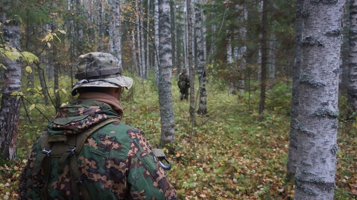В Киеве людям запретили ходить в лес