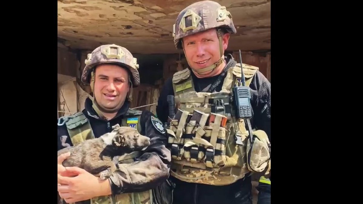 Каждая жизнь важна: в Донецкой области из-под завалов спасли щенка