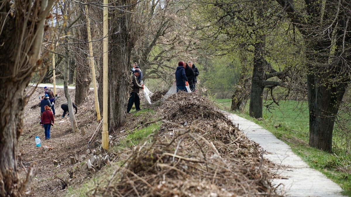 В Ужгороді Липову алею зроблять ще довшою: люди висадять молоді дерева