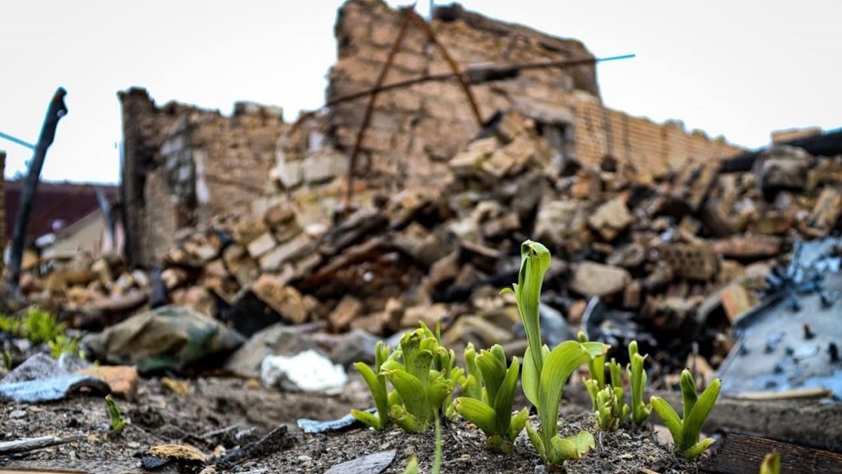 В Украине владельцы разрушенных оккупантами квартир и домов смогут сами выбрать, где получить новое жилье