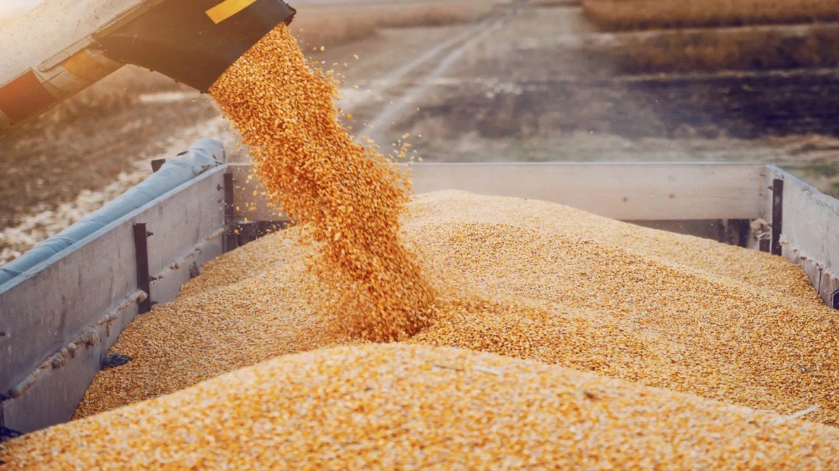Румыния поможет Украине экспортировать зерно через свои порты