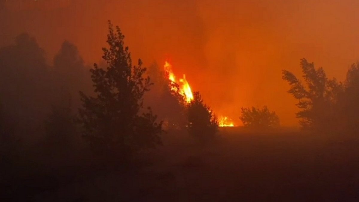 Біля Чорнобиля спалахнула лісова пожежа: людей просять зачинити вікна
