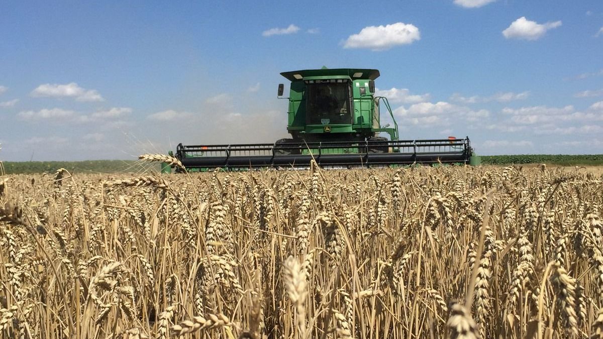 Украина ведёт переговоры о создании организации стран-экспортёров зерна