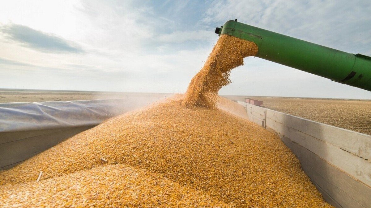 Окупанти вкрали майже півмільйона тонн зерна із захоплених територій України