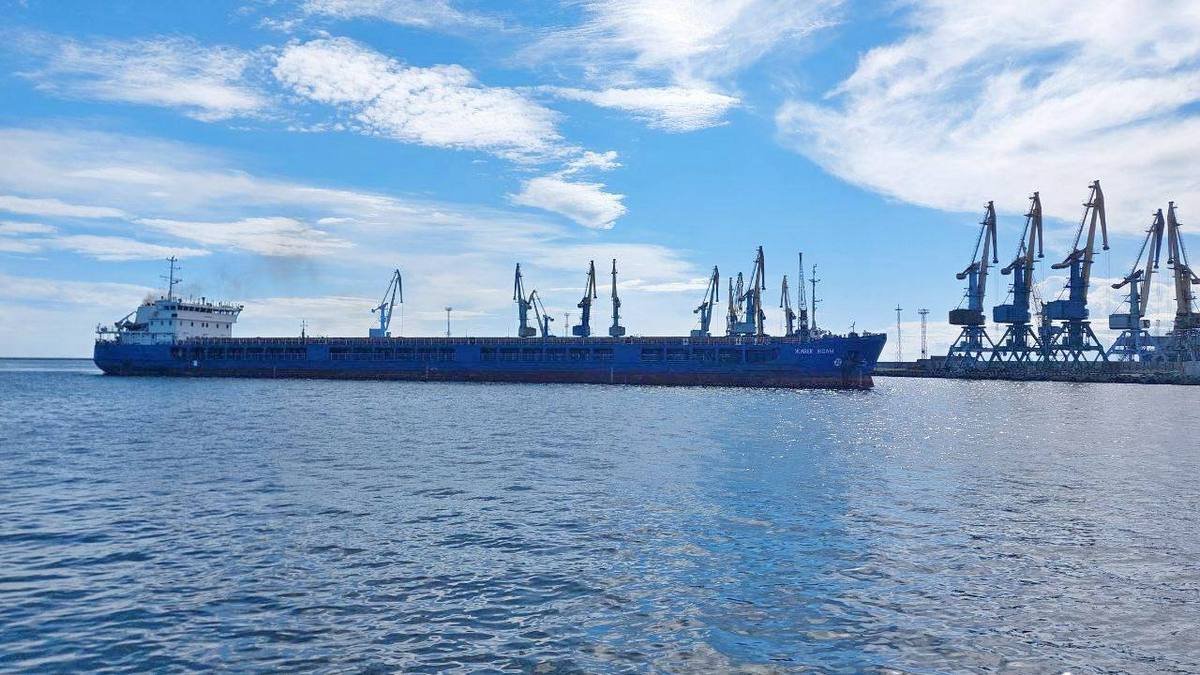 Турция отпустила задержанное российское судно с ворованным украинским зерном