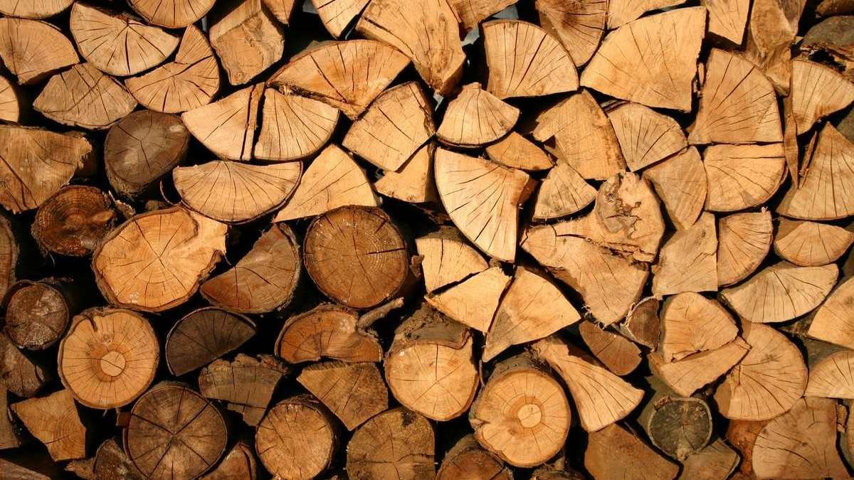 В Україні запустили державний сайт з продажу дров онлайн