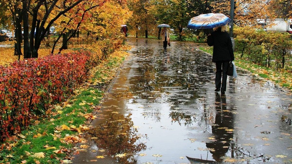 Нужно ли брать зонтик? Прогноз погоды в Украине 4 ноября
