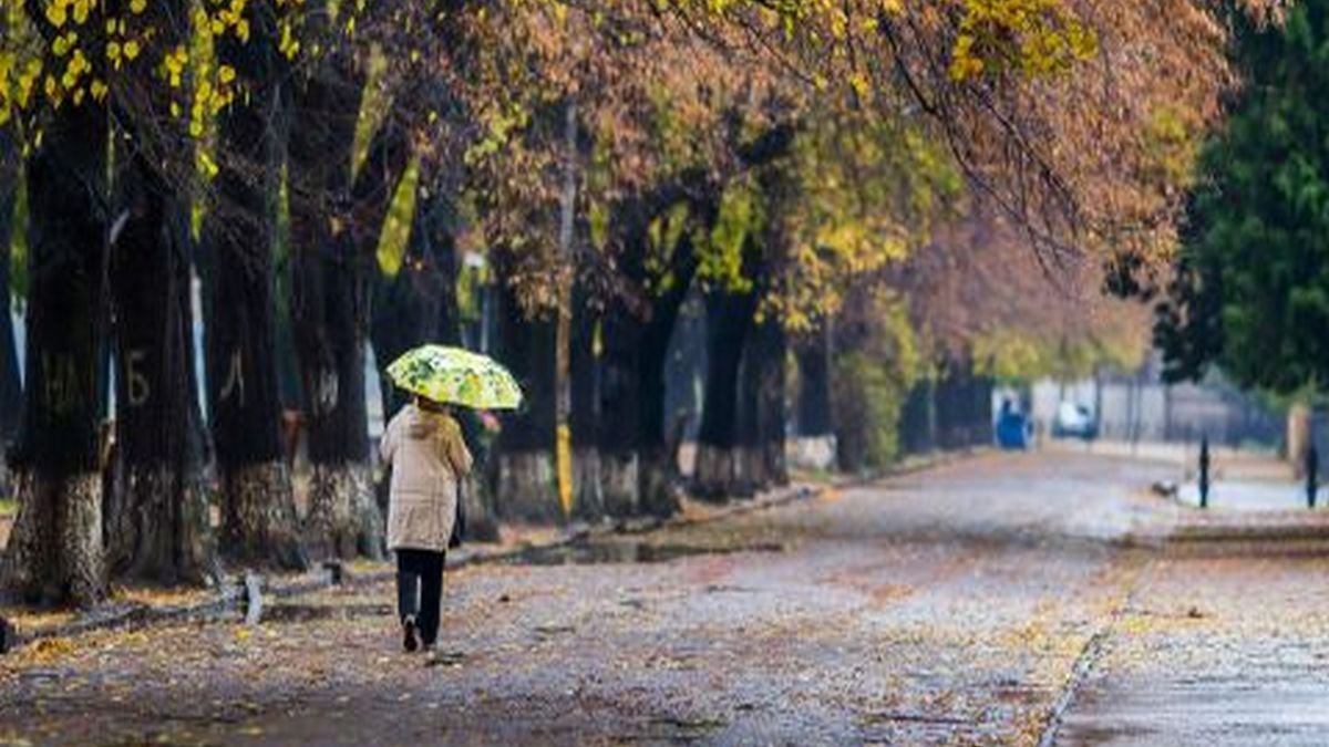 В каких регионах ожидается дождь? Прогноз погоды в Украине 5 ноября