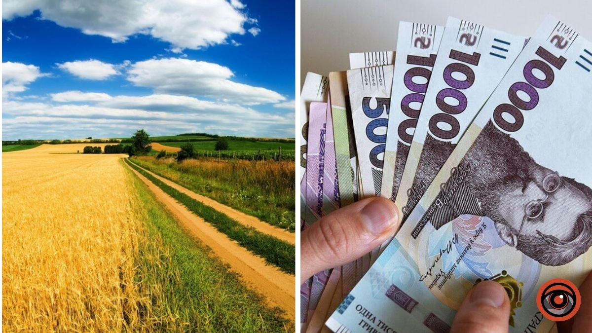 В Украине выросли цены на землю: где дороже