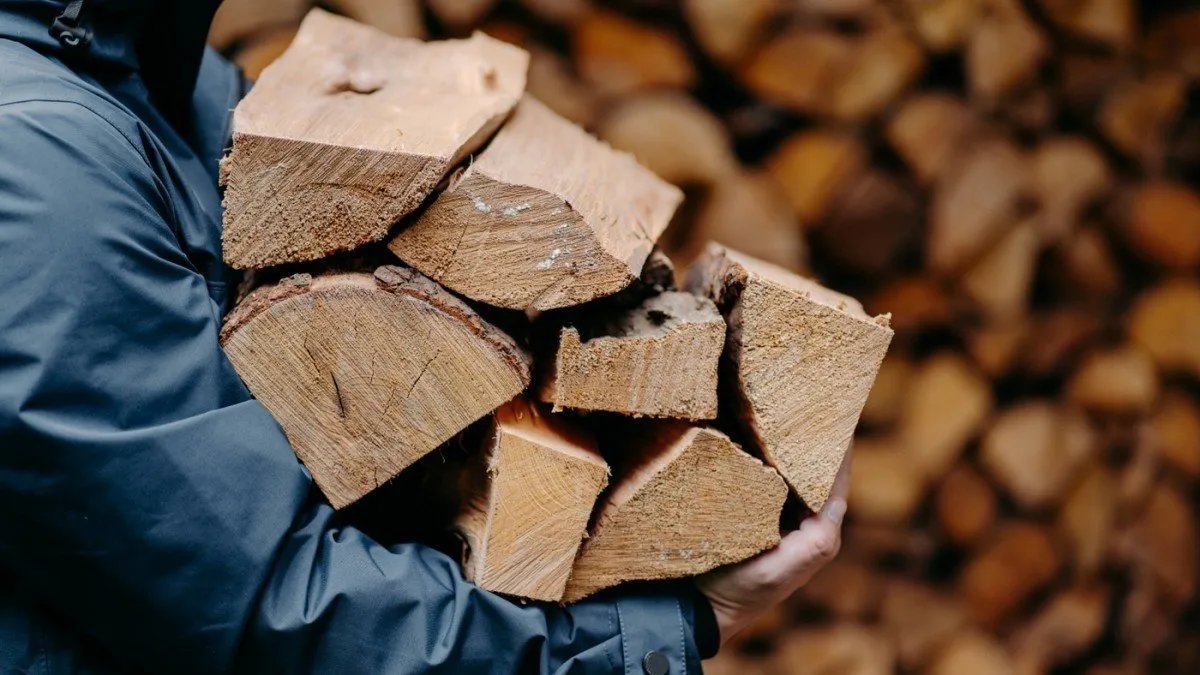 Хто і як може отримати дрова від держави