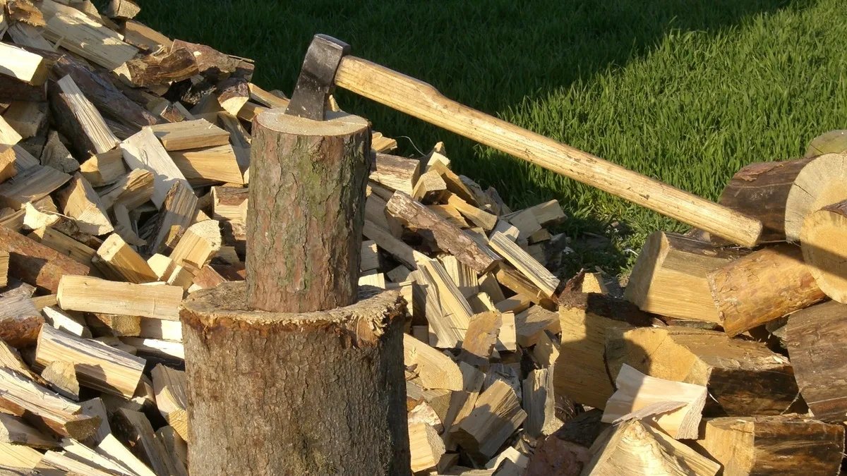 Бесплатные дрова для населения: сколько украинцев уже получили помощь
