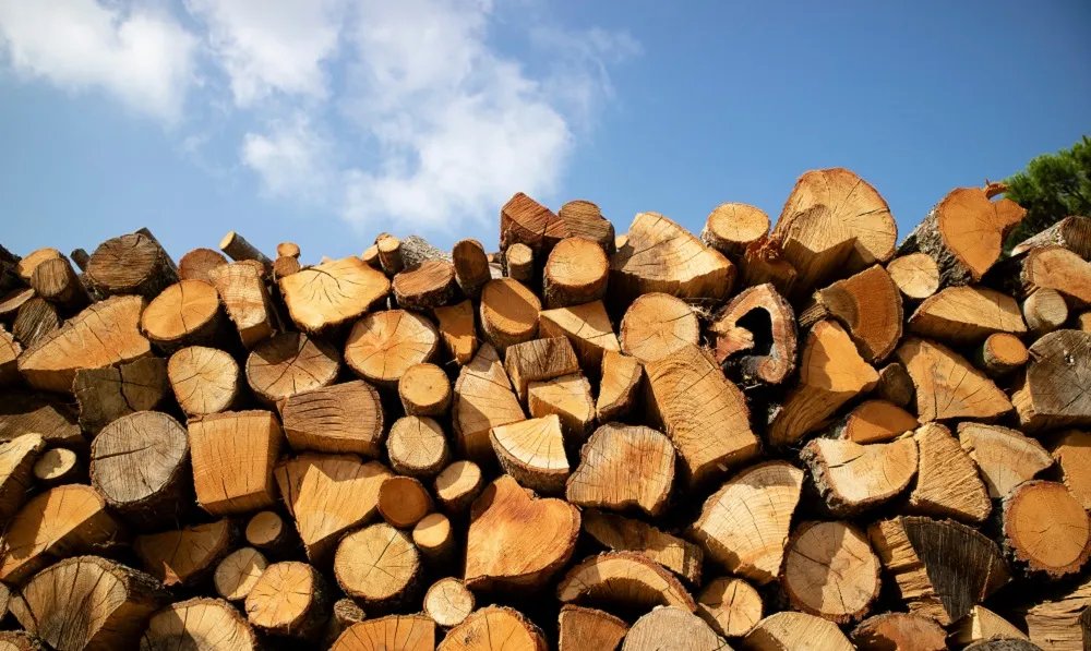Злочинні угрупування використовують шалений попит на дрова для незаконної торгівлі та обману українців
