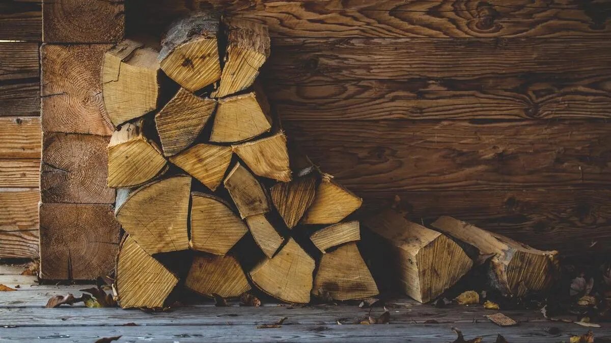 Бесплатные дрова для украинцев — более 10 тысяч семей Сумщины уже обеспечены