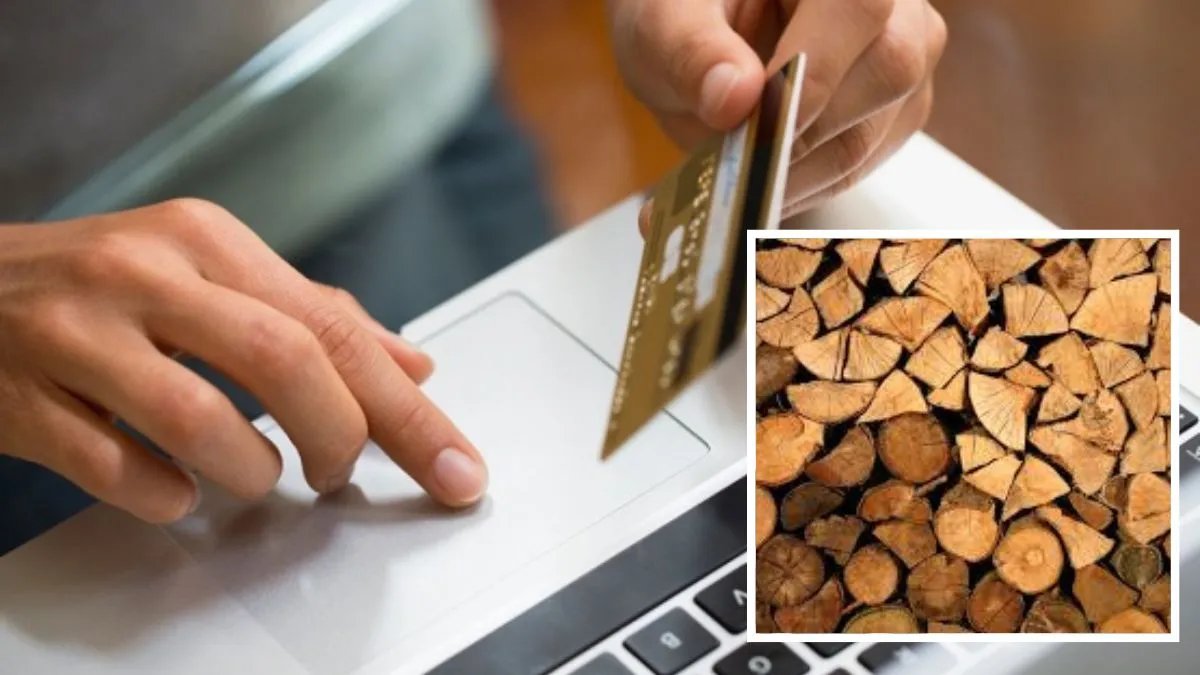 Аферисты продают несуществующие дрова — как не дать себя обмануть