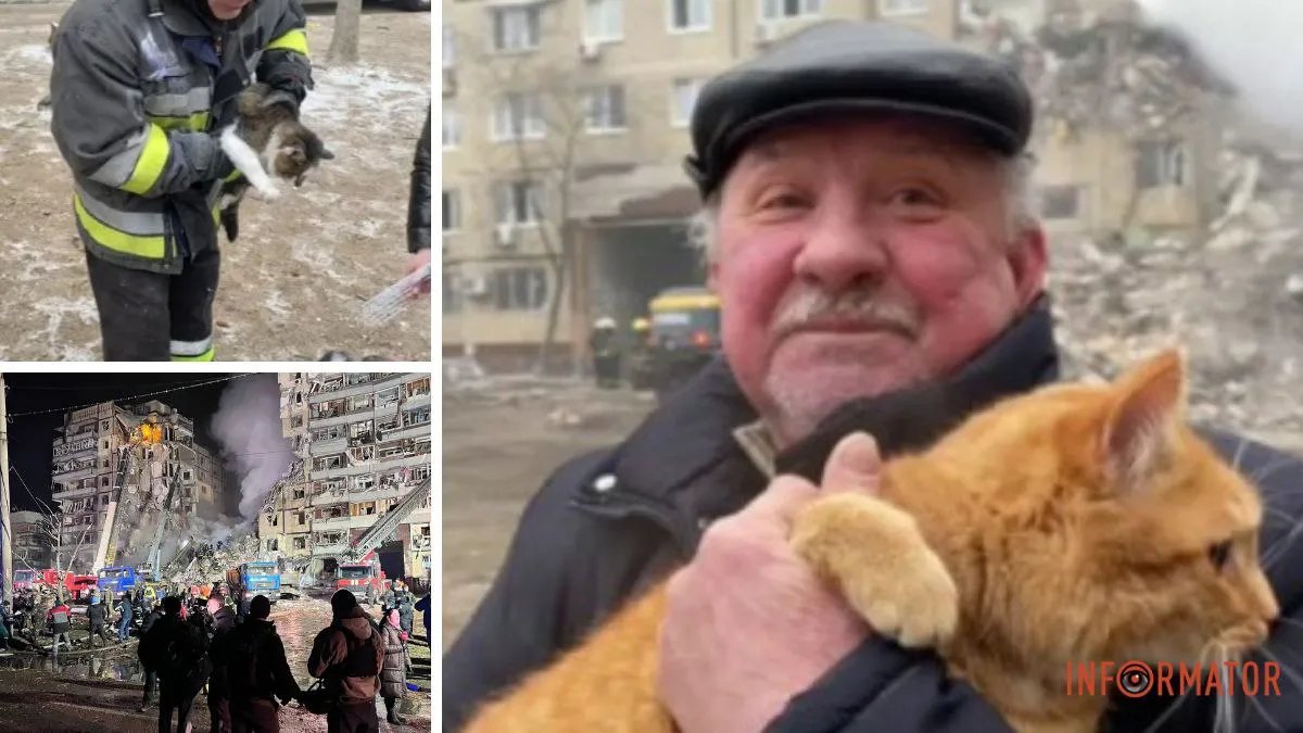 Спасают всех: как из-под завалов дома в Днепре достают котиков