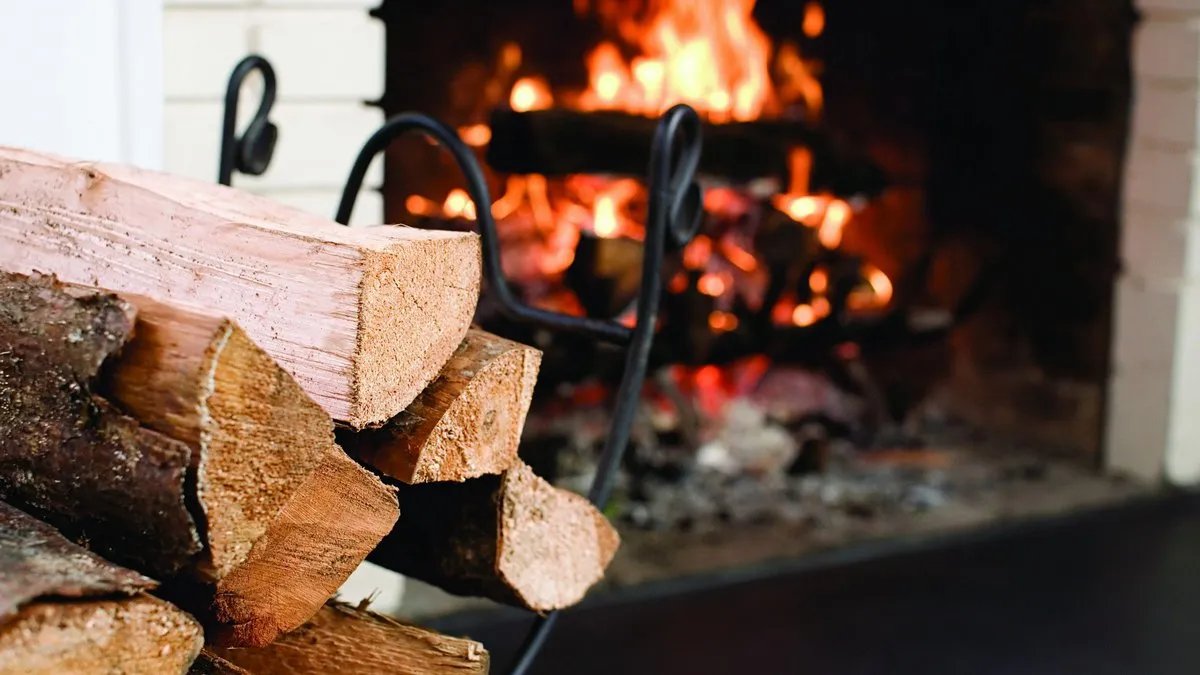 Які дрова краще для каміна – поради для недосвідчених домовласників