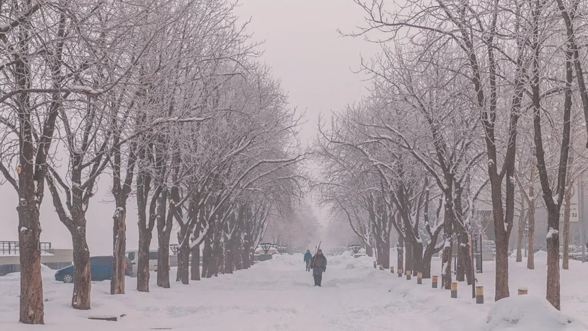 Місцями засніжить: прогноз погоди в Україні 28 січня
