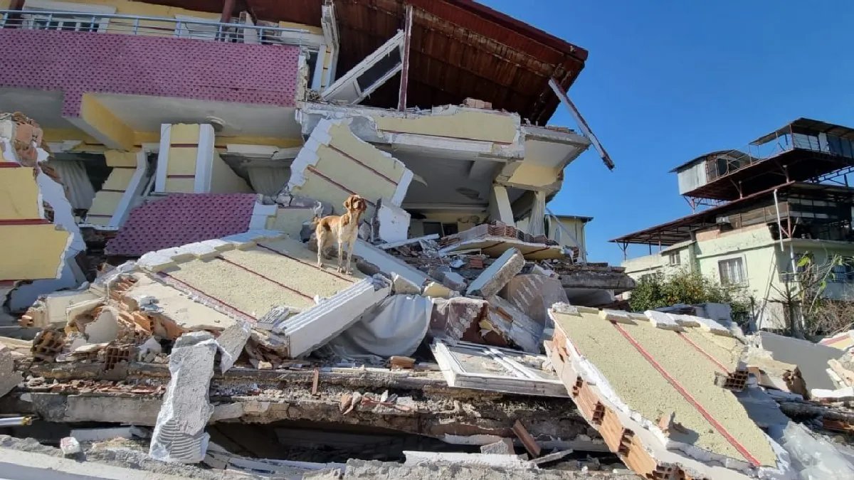 Землетрясения в Турции и Сирии: количество погибших превысило 34 тысячи